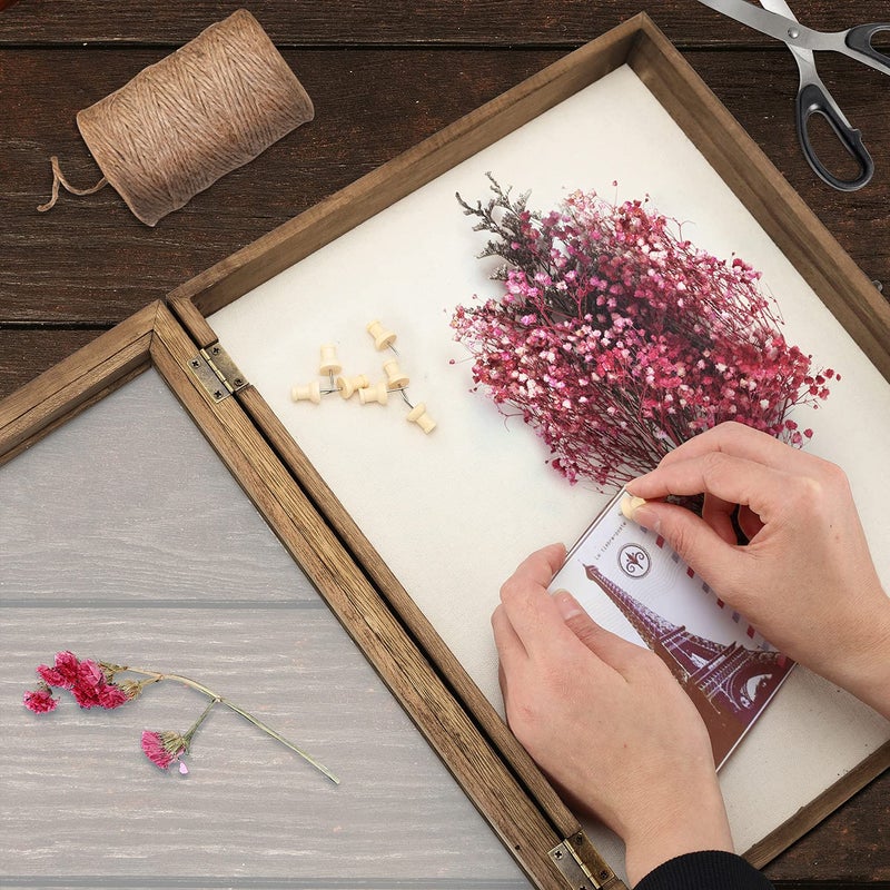 TJMOREE صندوق عرض الظل TJ.MOREE 13 x 16 إطار صندوق الظل مع نافذة زجاجية لإطار الصور باقة الزفاف تذكارات ميداليات صور صندوق الذكريات للاحتفاظ بها - Image 4